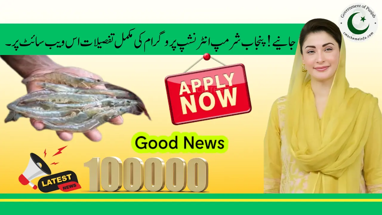 Punjab Shrimp Internship Program 2025 – Golden Opportunity with Rs. 100,000 Monthly Stipend